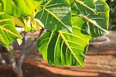 9岁男孩残忍杀害父亲 警方指责是《使命召唤》带坏孩子